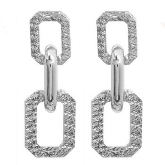 Silver Link Earrings - Picture 1 of 2